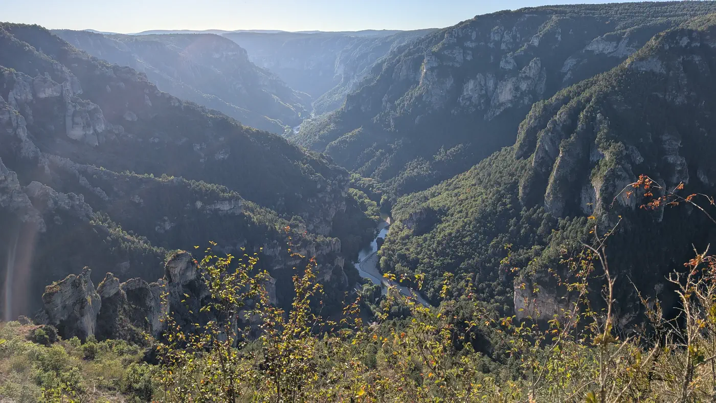 Les gorges du Tarn vues depuis le rebord du causse : falaises calcaires boisées de part et d’autre, la rivière au fond de la vallée.
